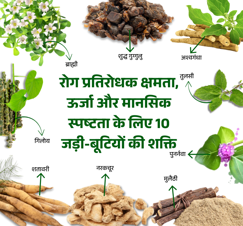 Bhavya Shakti Churn - Image 3