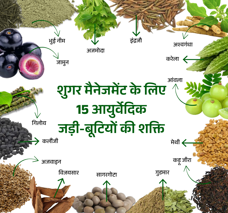 Dia Rakshak Churn - Image 3