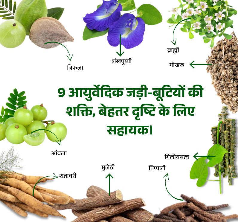 Drishti Kanti Churna – Ayurvedic Herbal Churna for Eye Health & Vision Support - Image 4