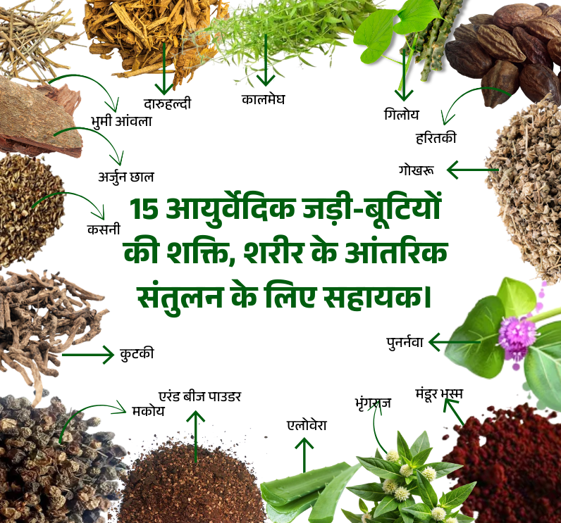 Liv Kanti Churna – Ayurvedic Herbal Churna for Liver Health & Detox Support - Image 4