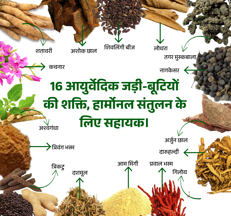 PCOS PCOD Ayurvedic Churna – Natural Herbal Powder for PCOS Treatment & Hormonal Balance - Image 4