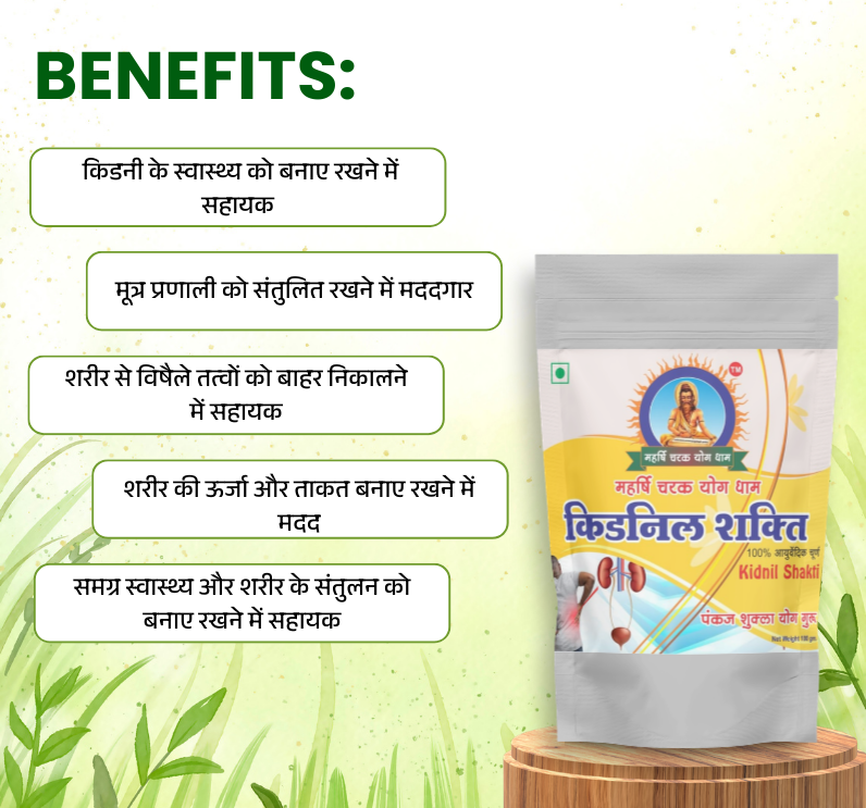 Kidnil Shakti Churna – Ayurvedic Kidney Detox & Urinary Health Herbal Powder (100g) - Image 5