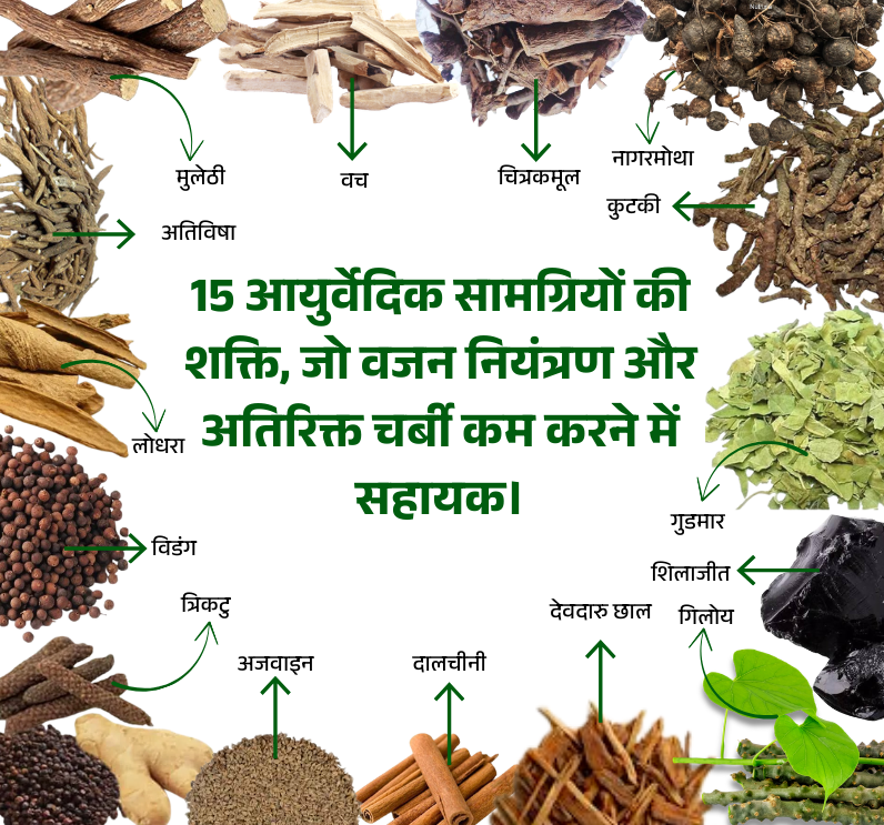 Fat Mukti Churn – Ayurvedic Weight Loss & Fat Control Herbal Powder - Image 3